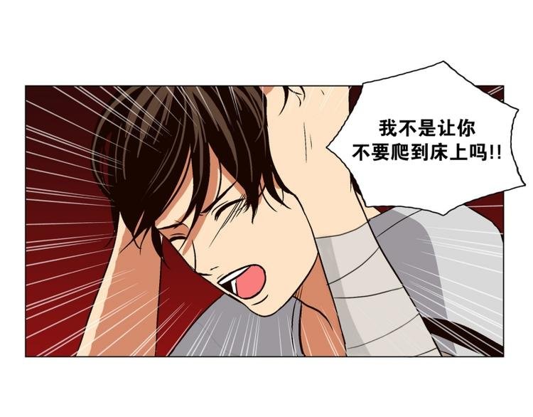 第5话 寻找能力（1）