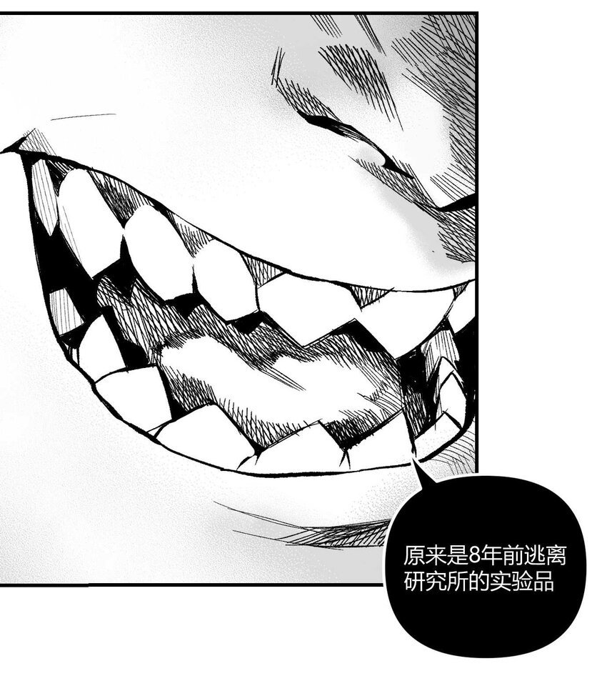 13 洛莉的力量