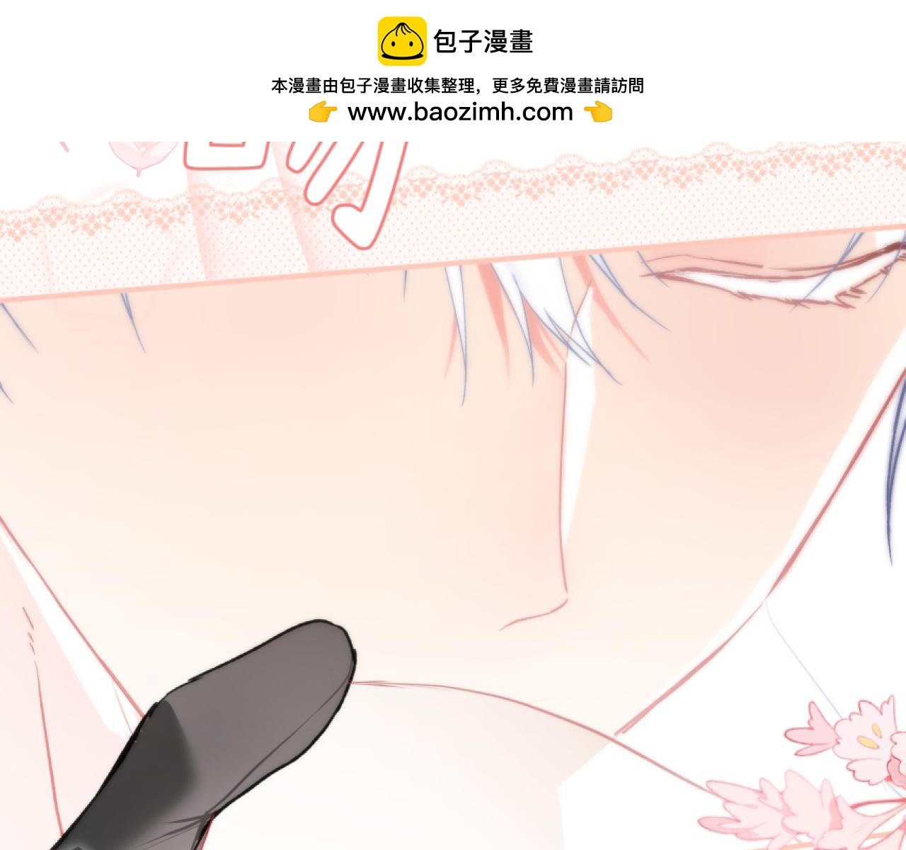 13-猫与猎狗