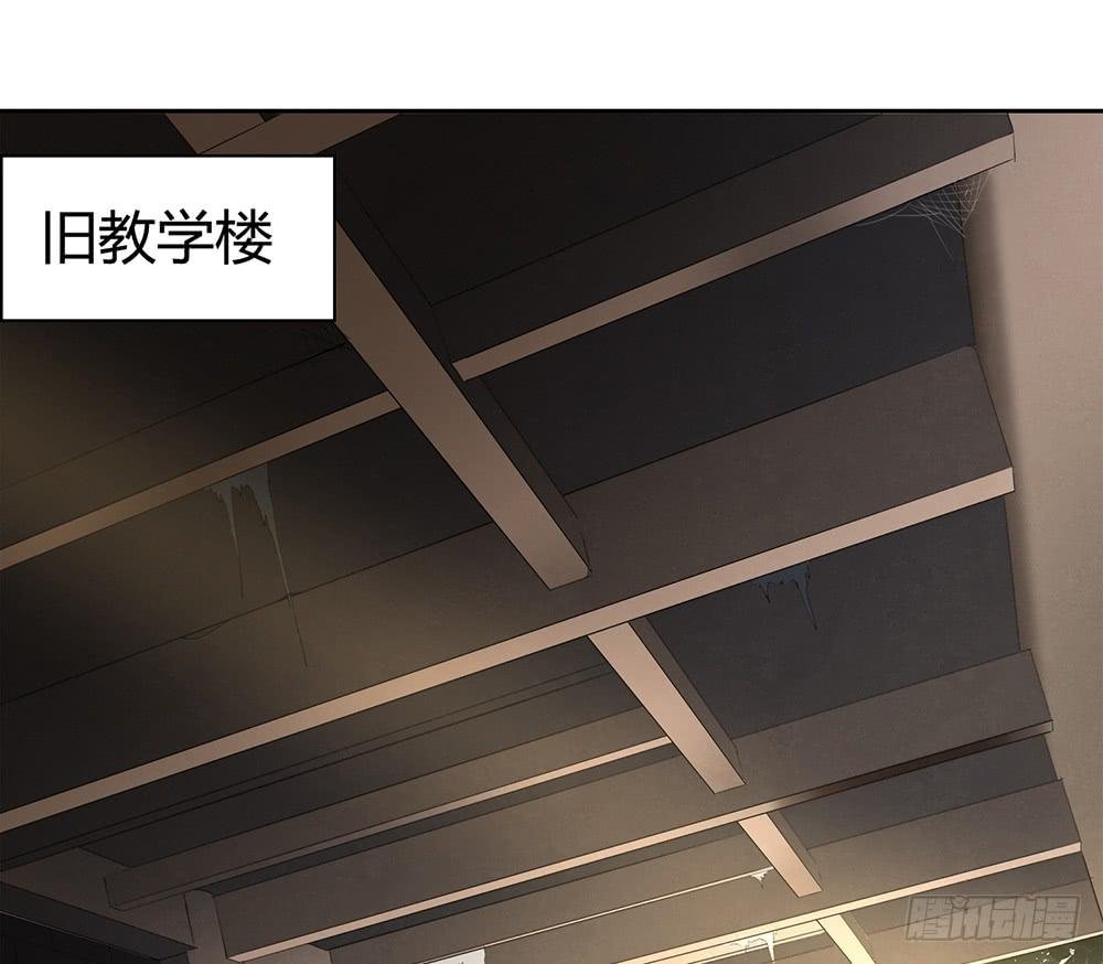 打苍蝇