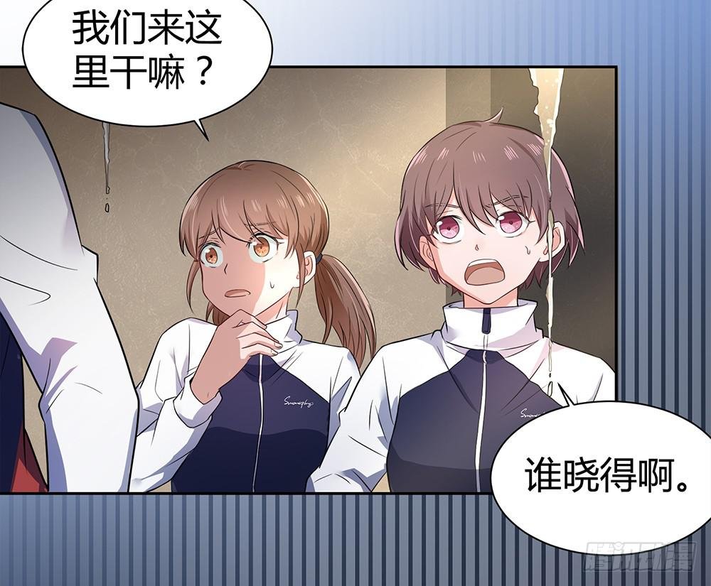 打苍蝇