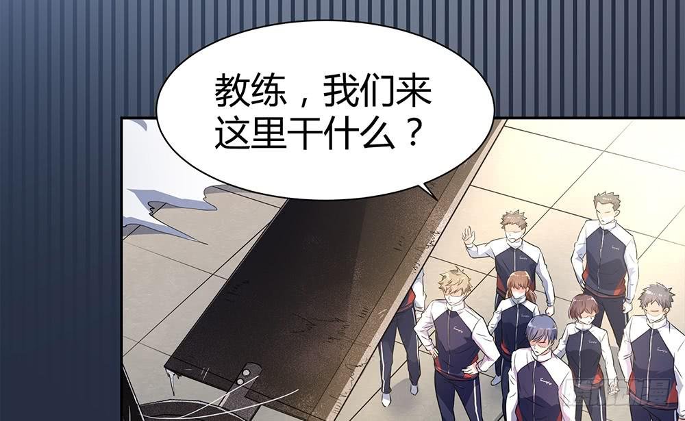打苍蝇