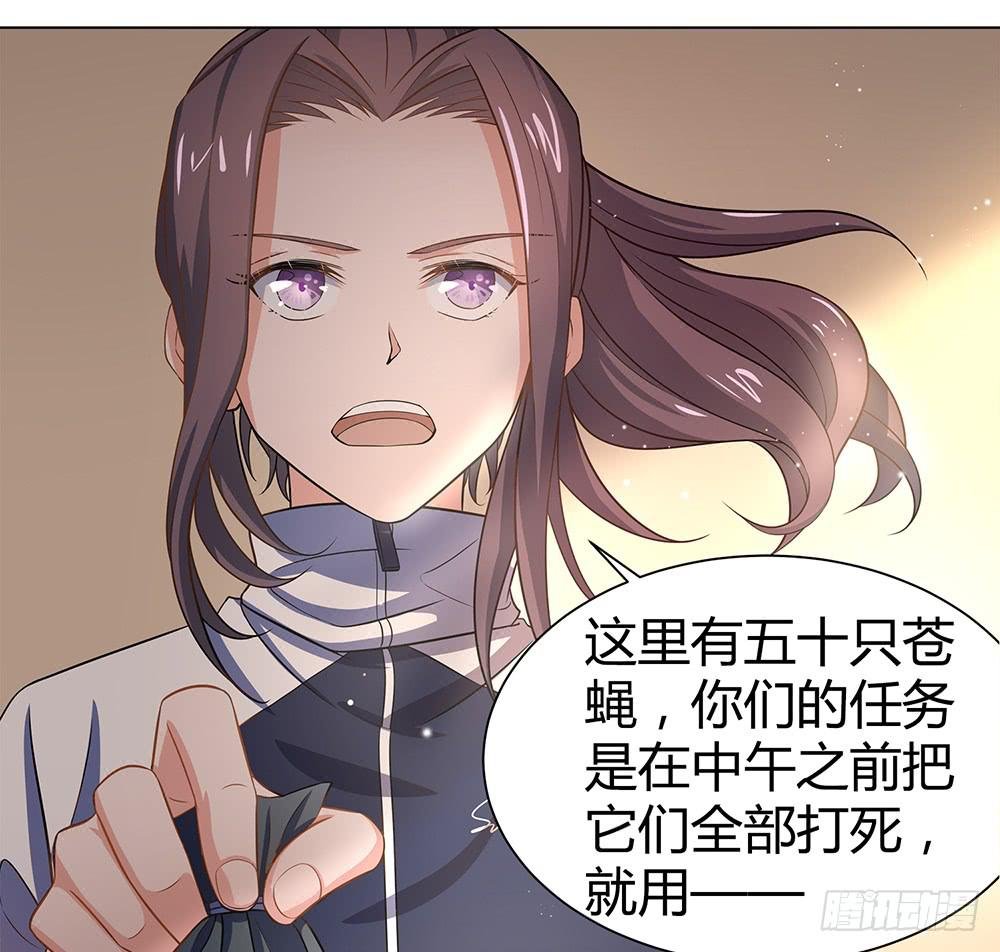 打苍蝇