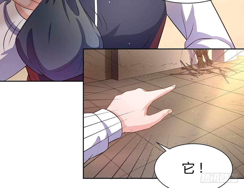 打苍蝇