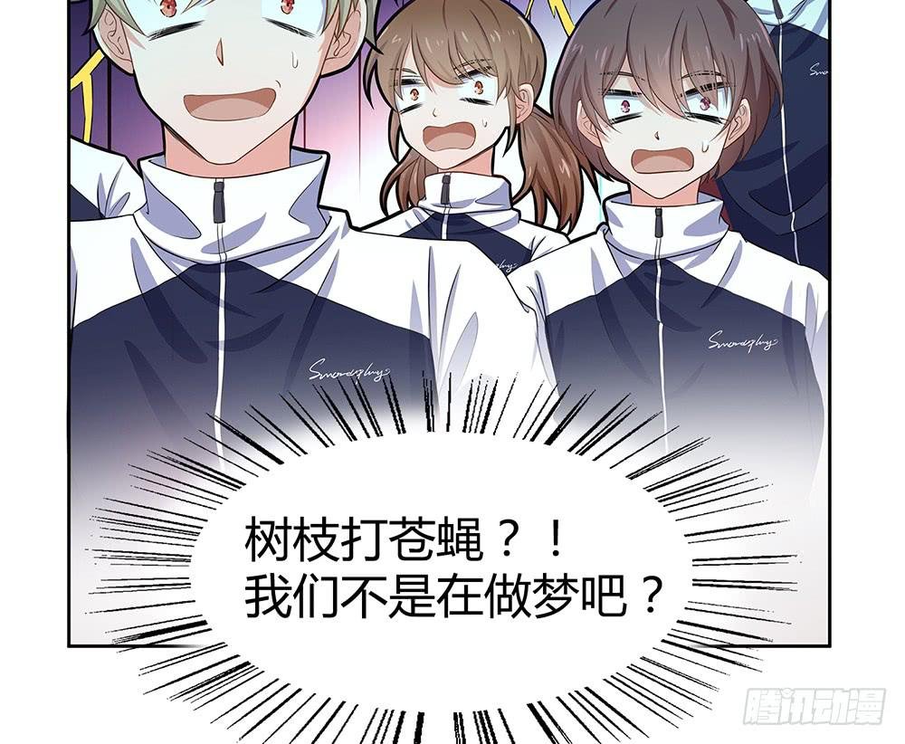 打苍蝇