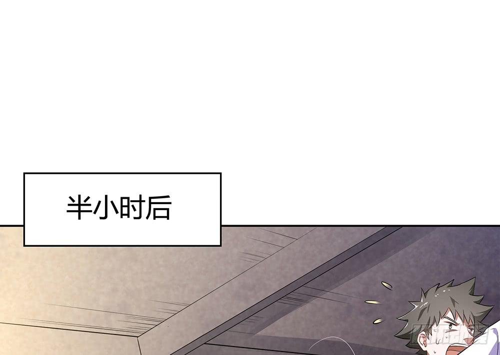 打苍蝇