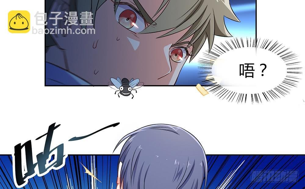 打苍蝇
