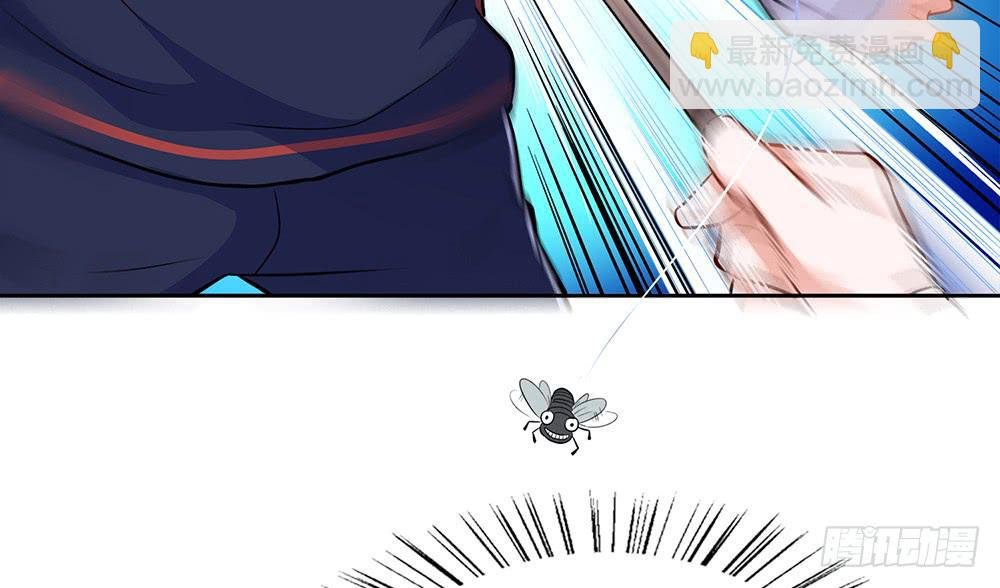 打苍蝇
