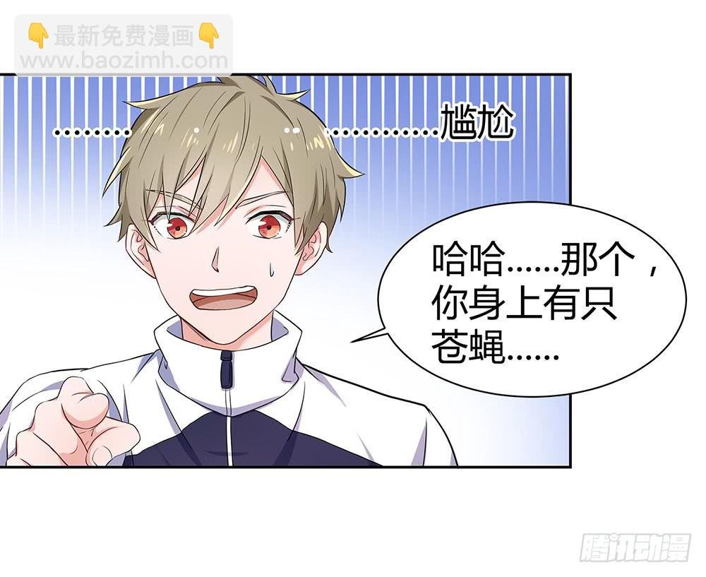 打苍蝇