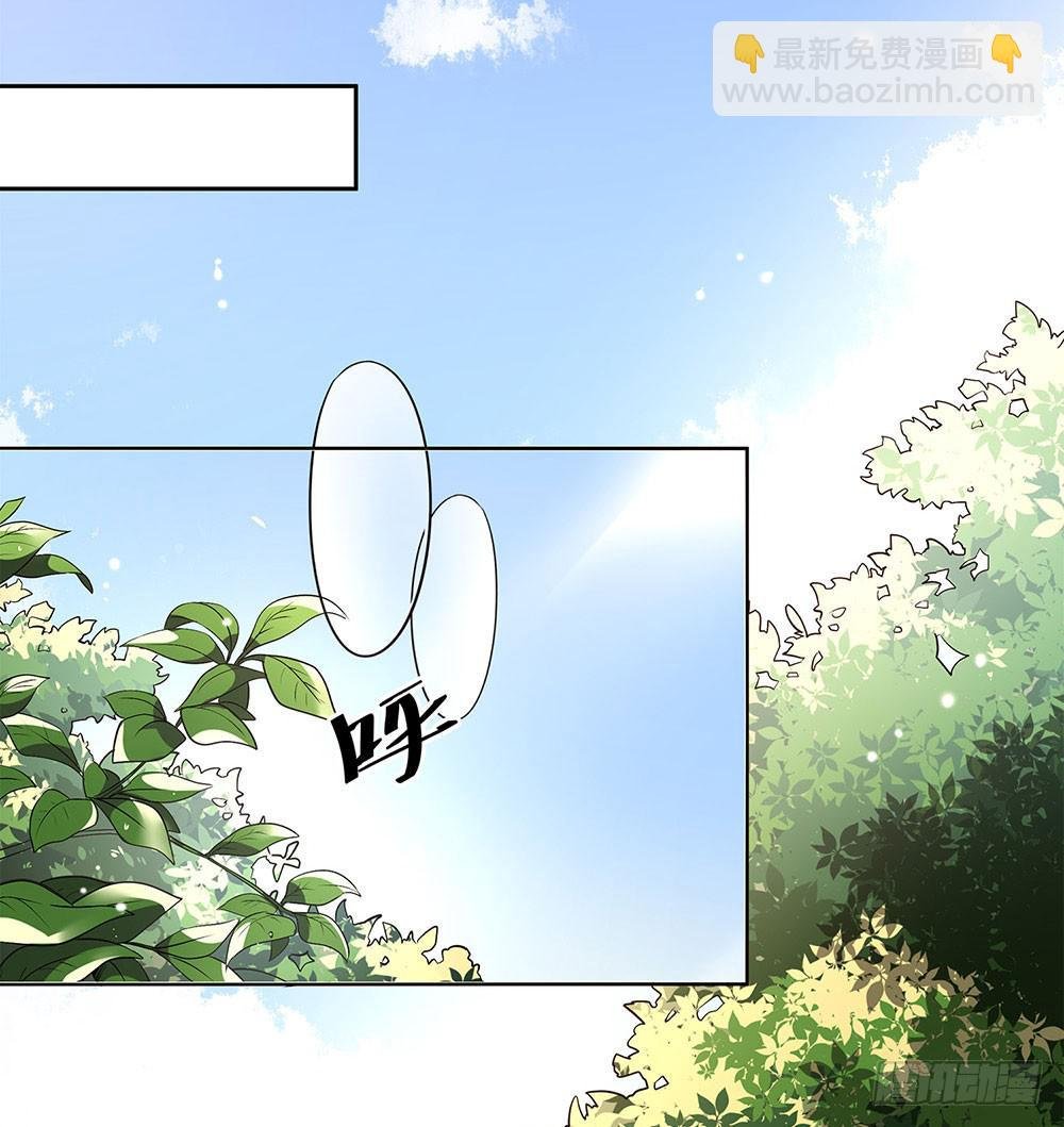 集训