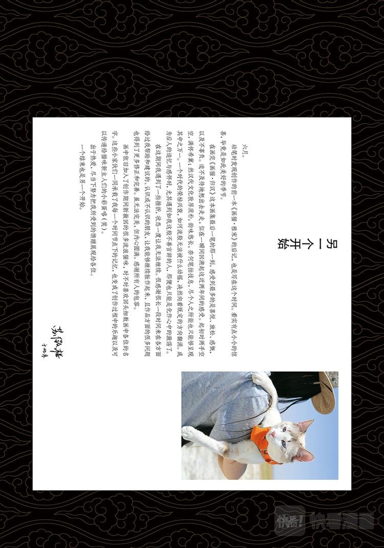 画猫·归汉：6、后记