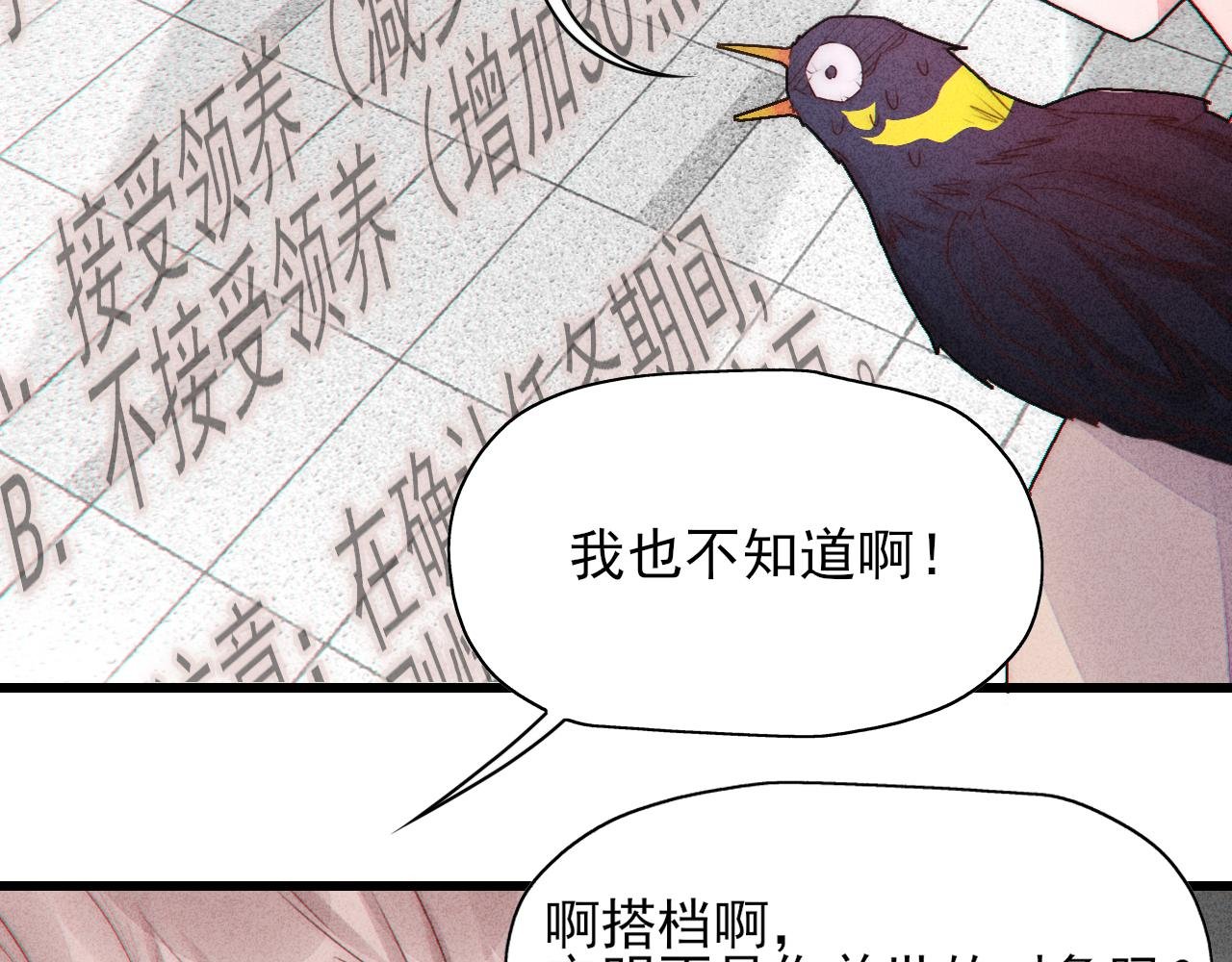 第11话 良禽择木而栖