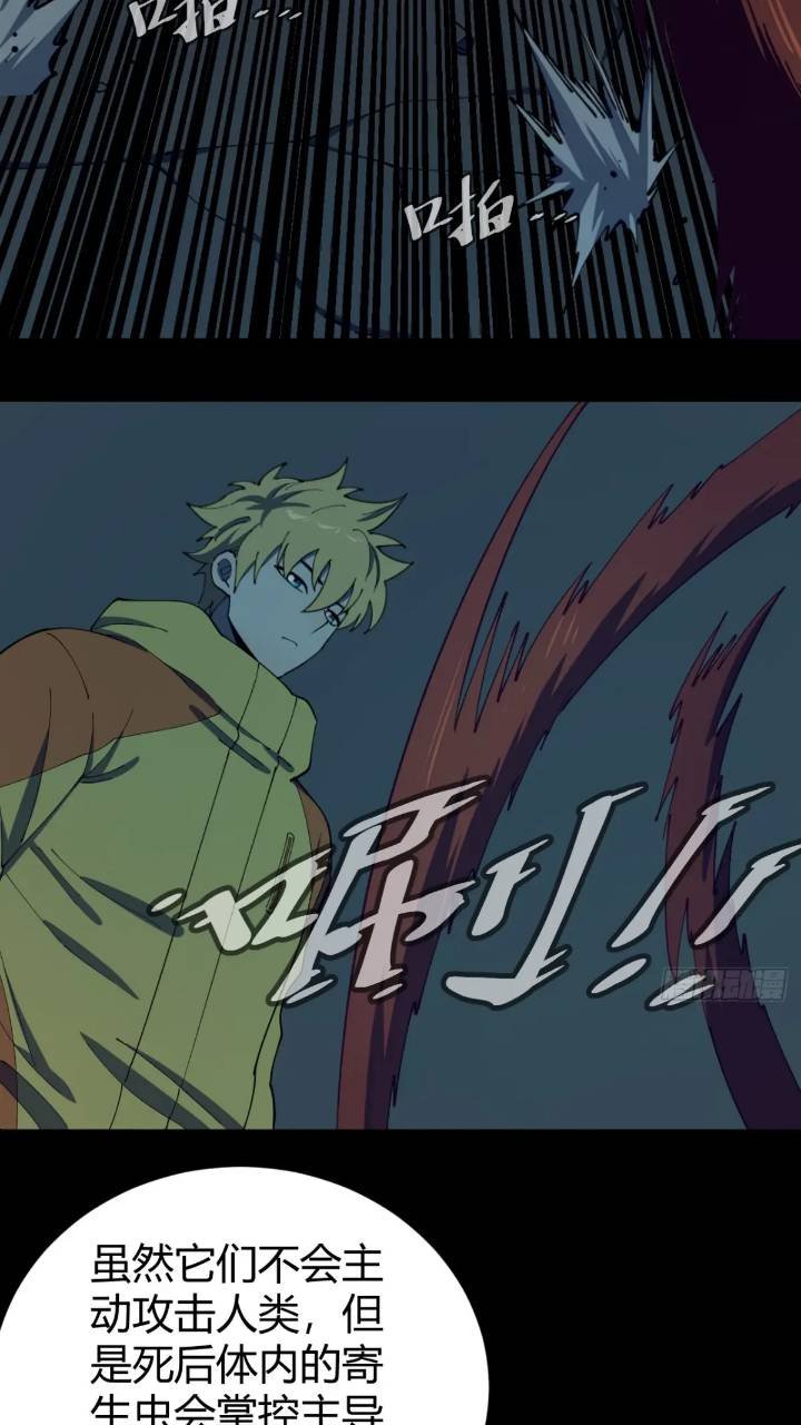 恶魔森林
