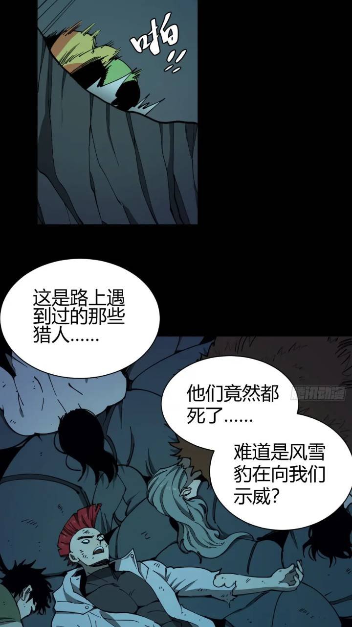 两只风雪豹