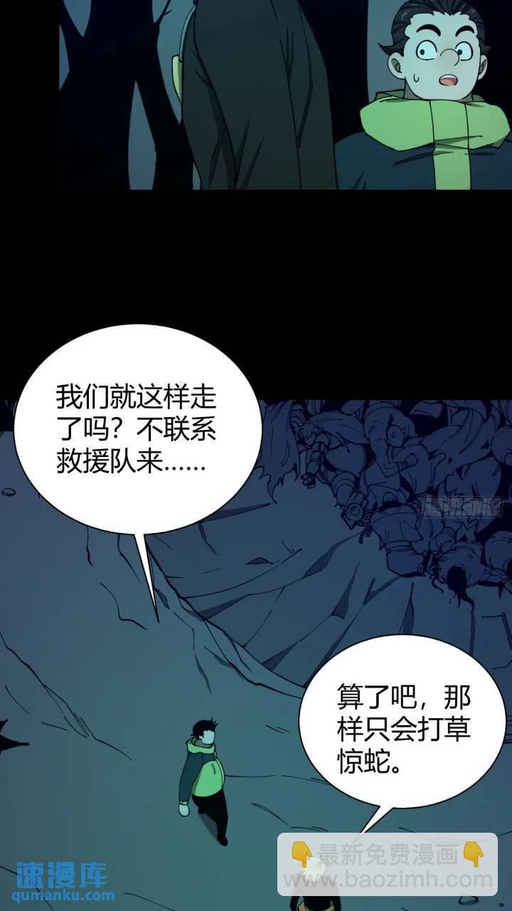 两只风雪豹