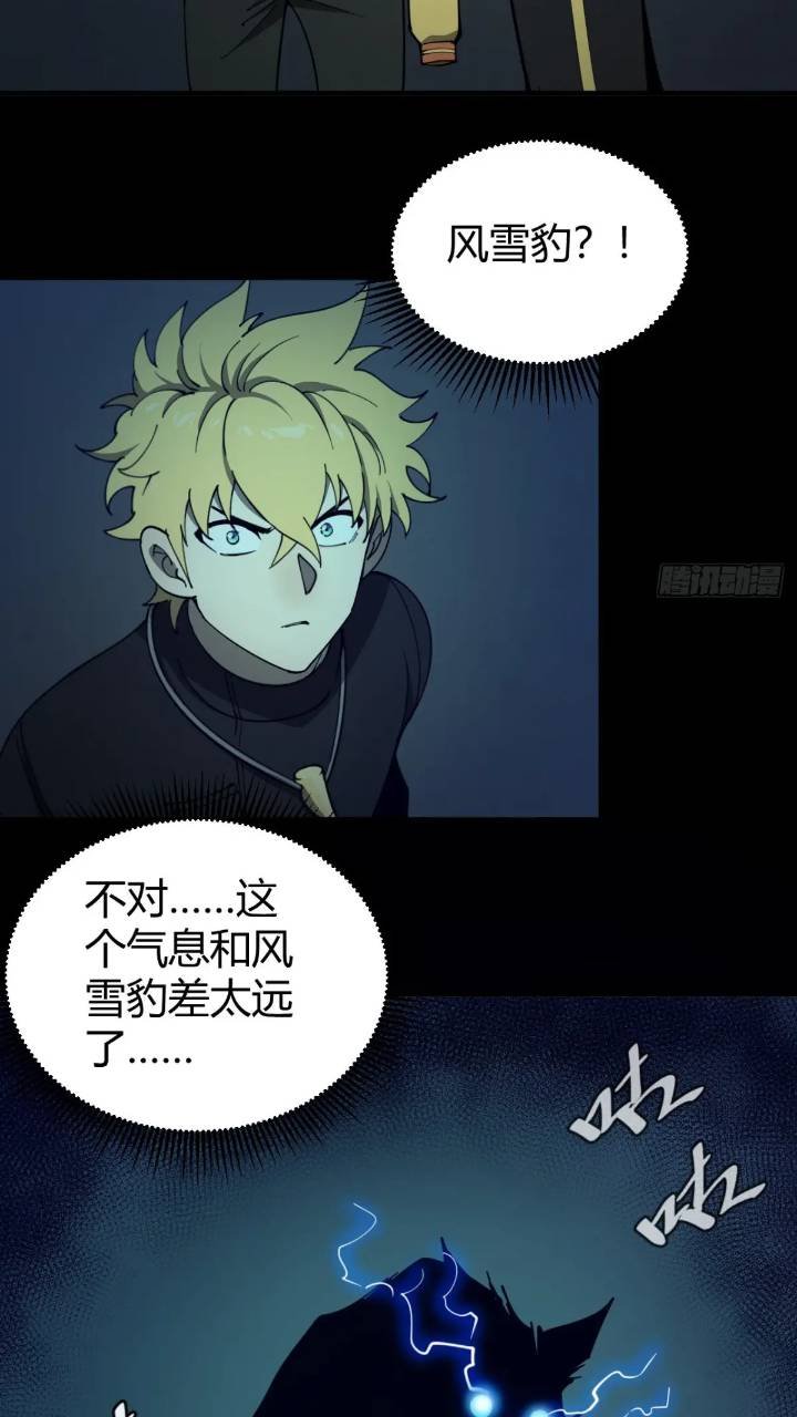 两只风雪豹