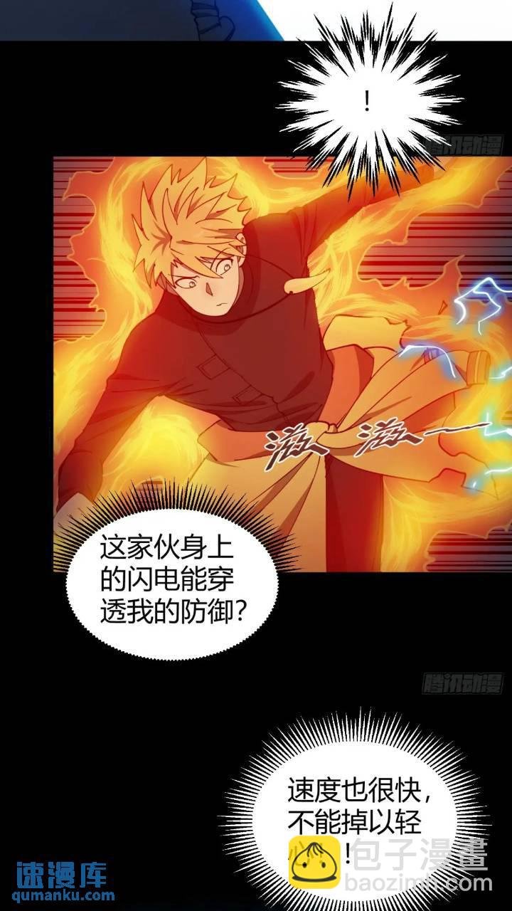 两只风雪豹