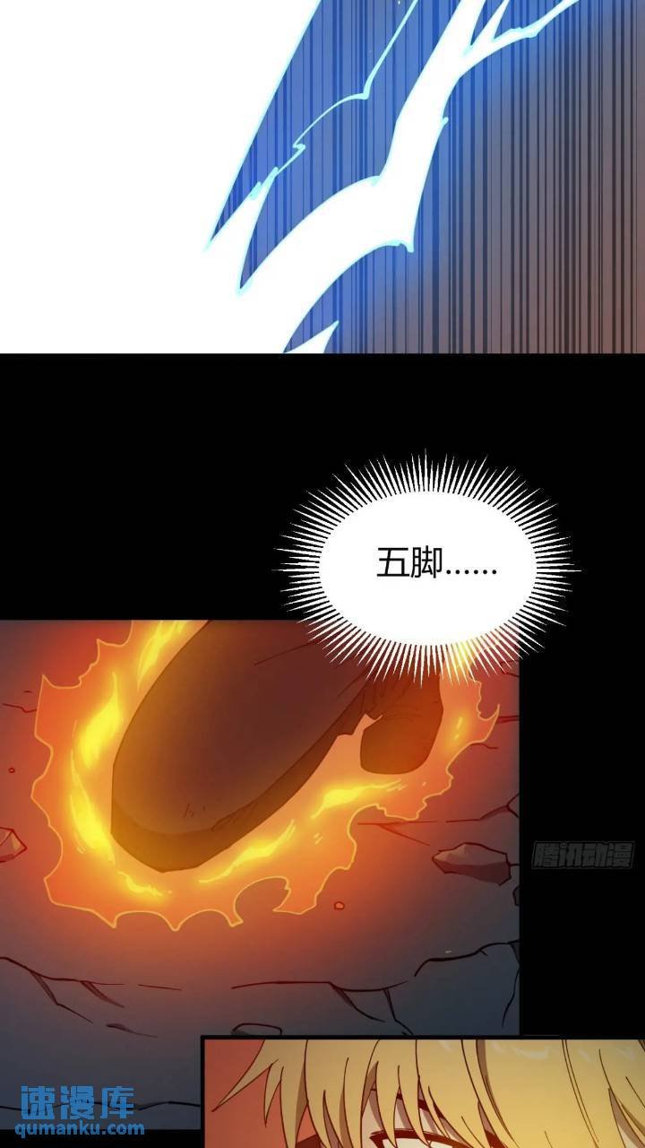 两只风雪豹