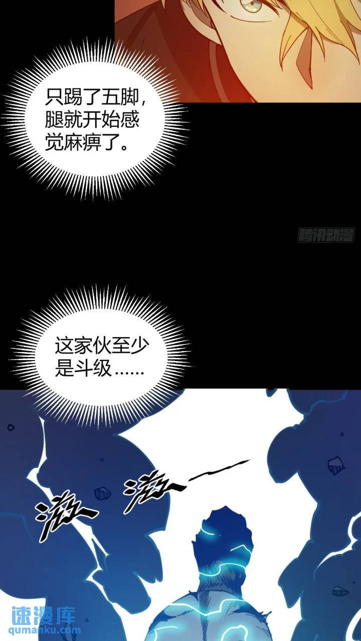 两只风雪豹