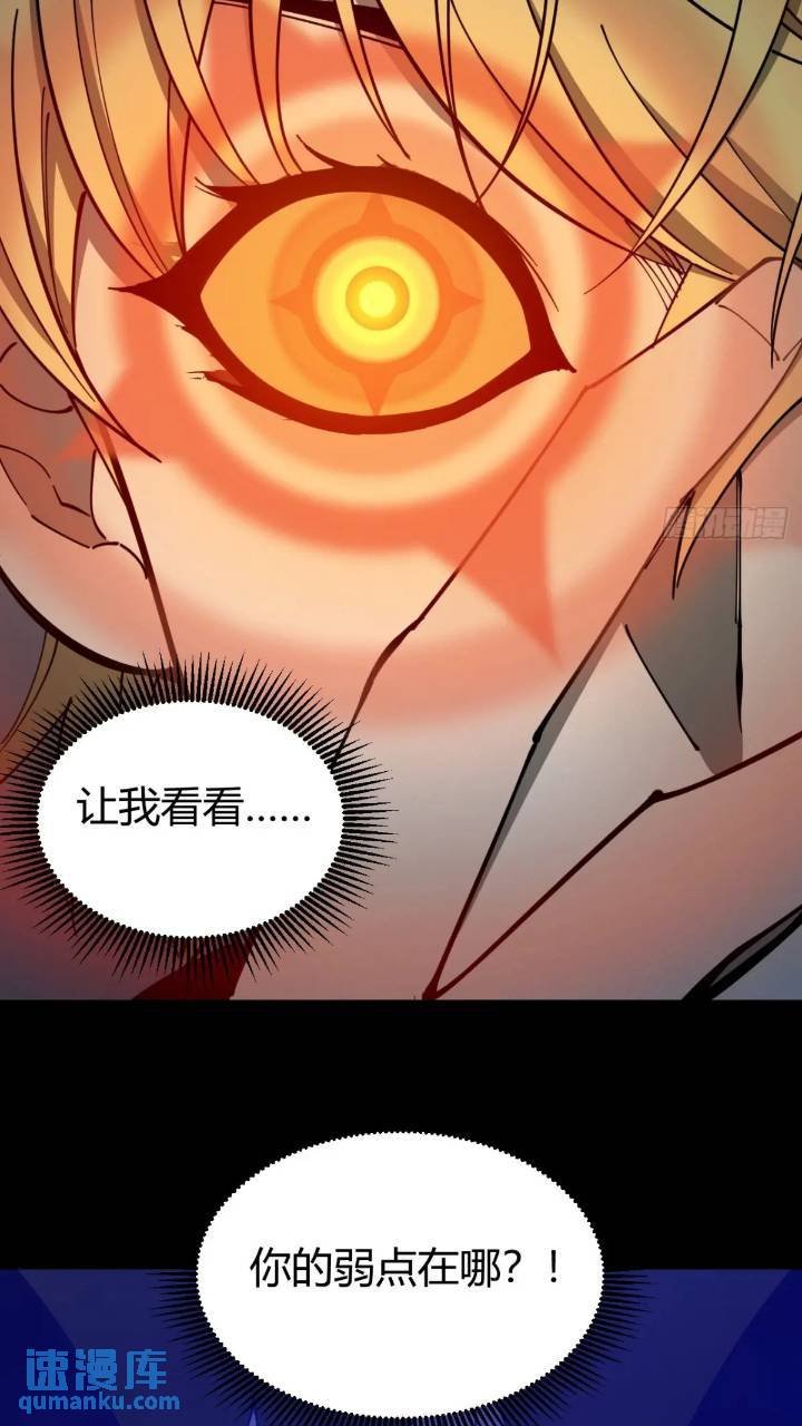 两只风雪豹
