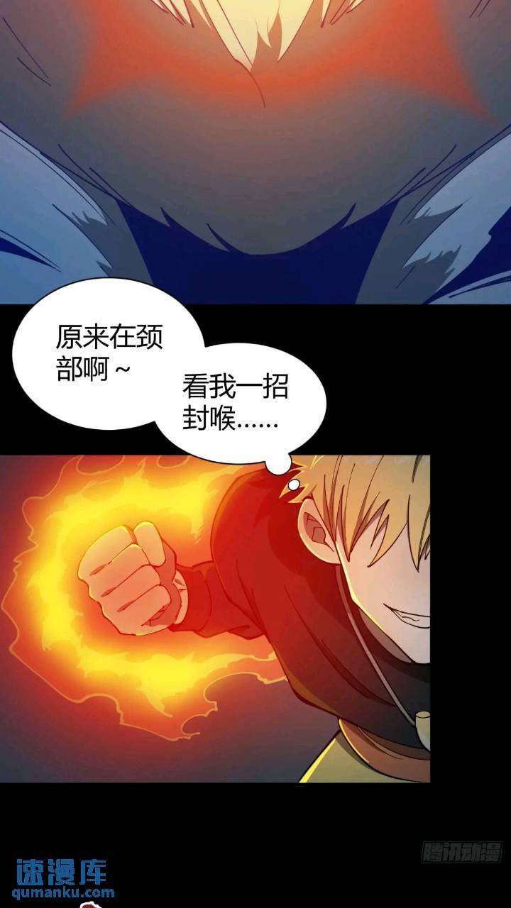 两只风雪豹