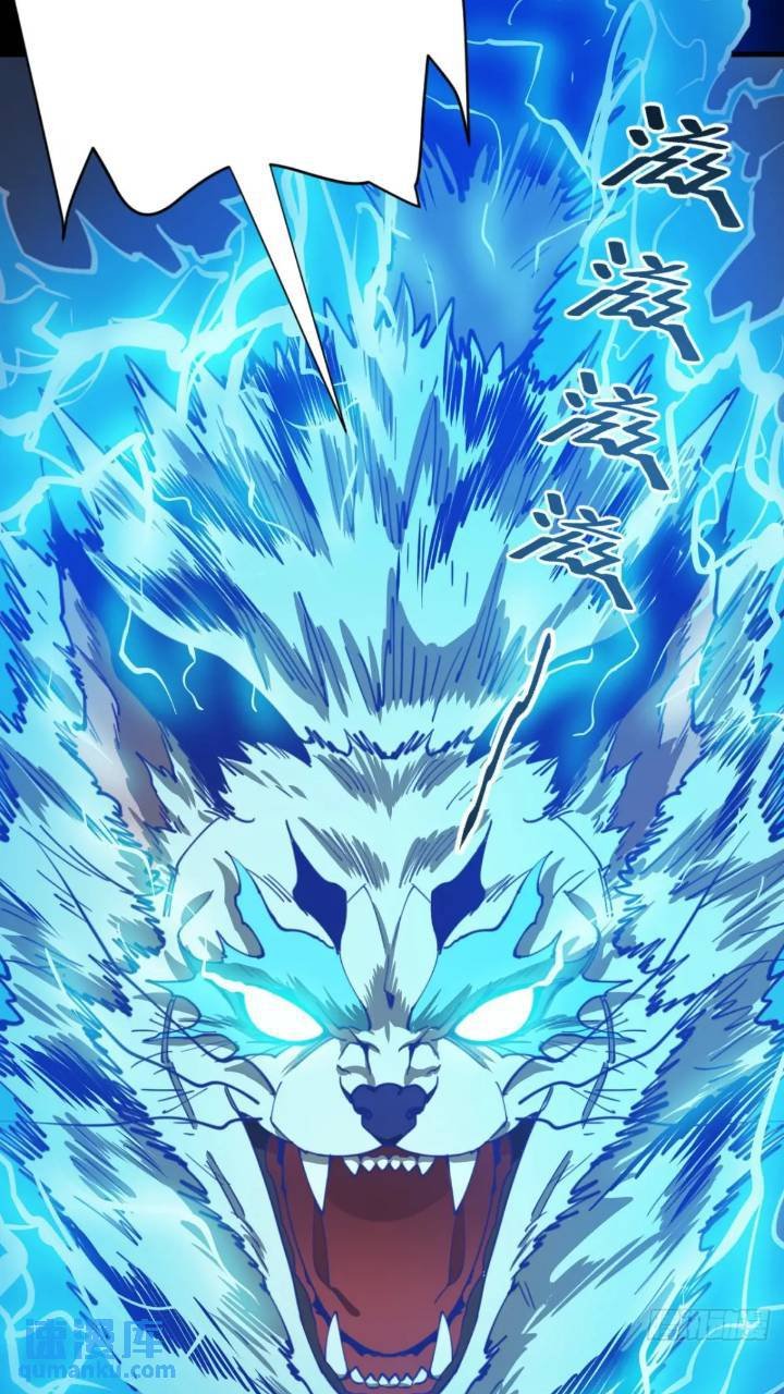 两只风雪豹