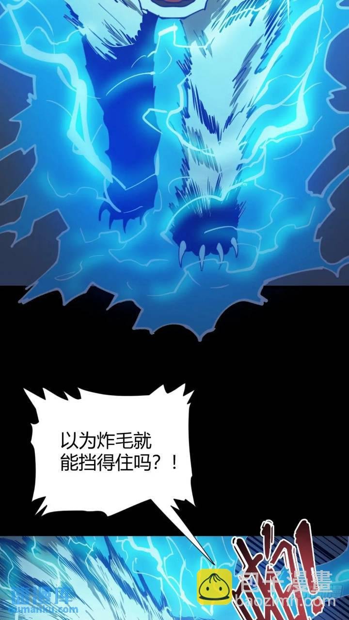 两只风雪豹