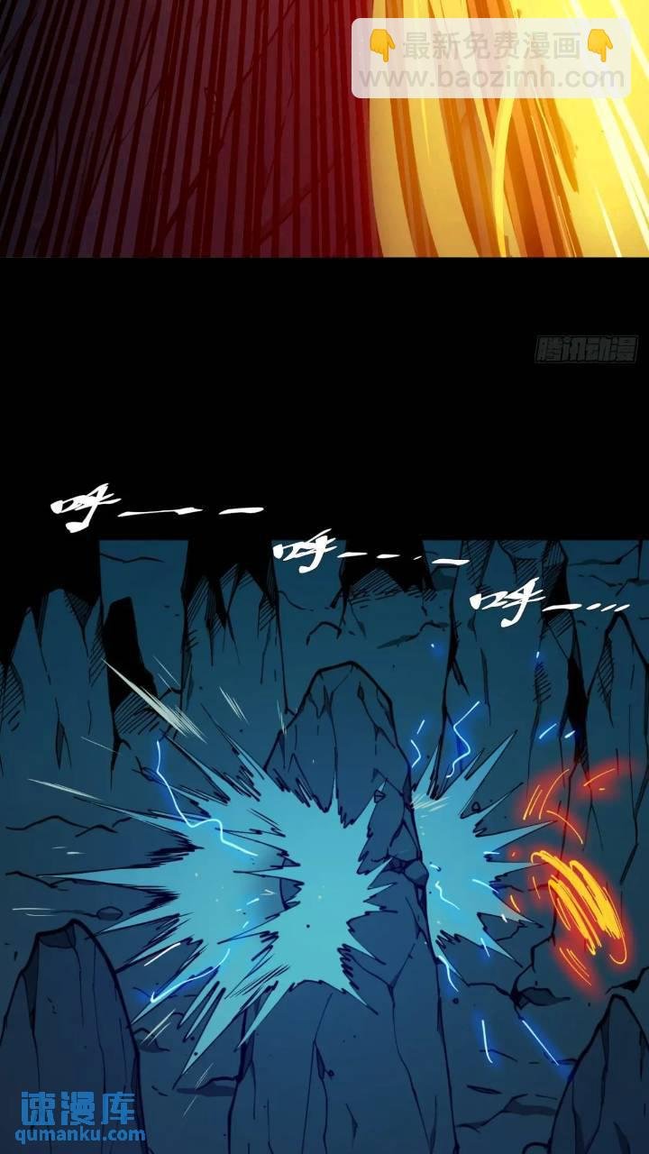 两只风雪豹