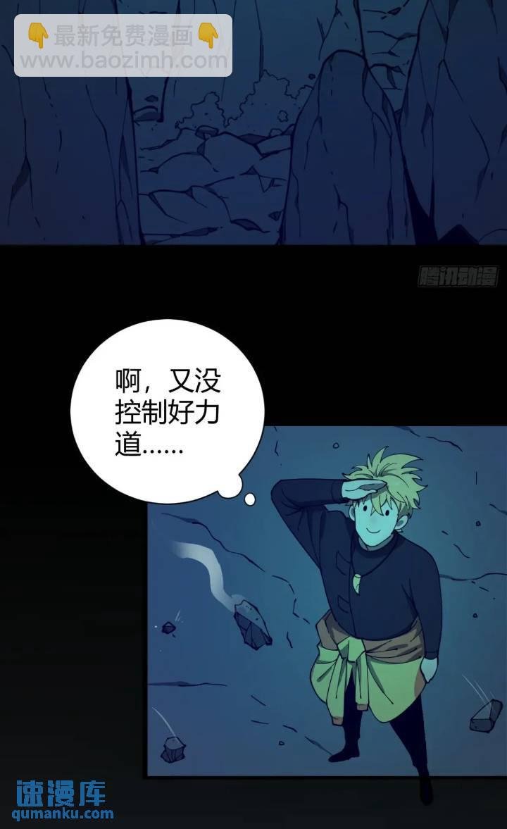 两只风雪豹
