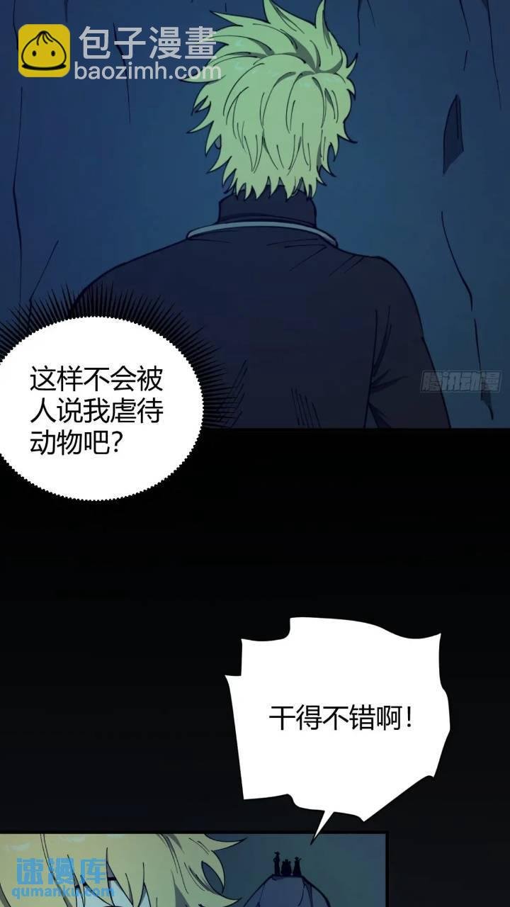 两只风雪豹