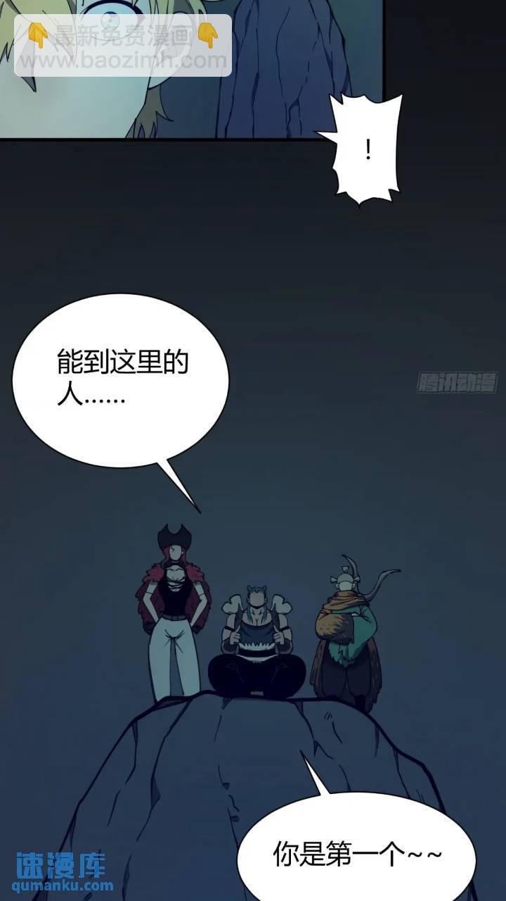 两只风雪豹