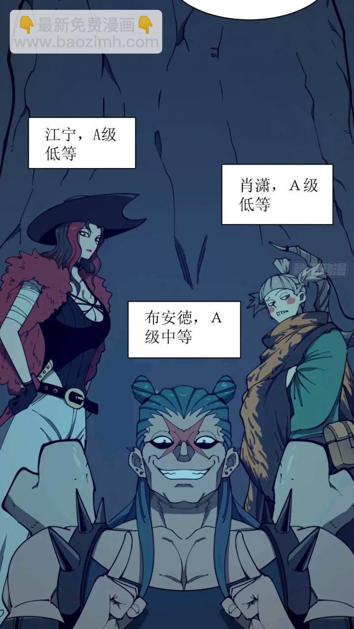 两只风雪豹