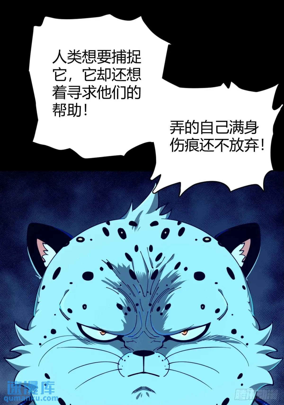 风雪豹的真面目