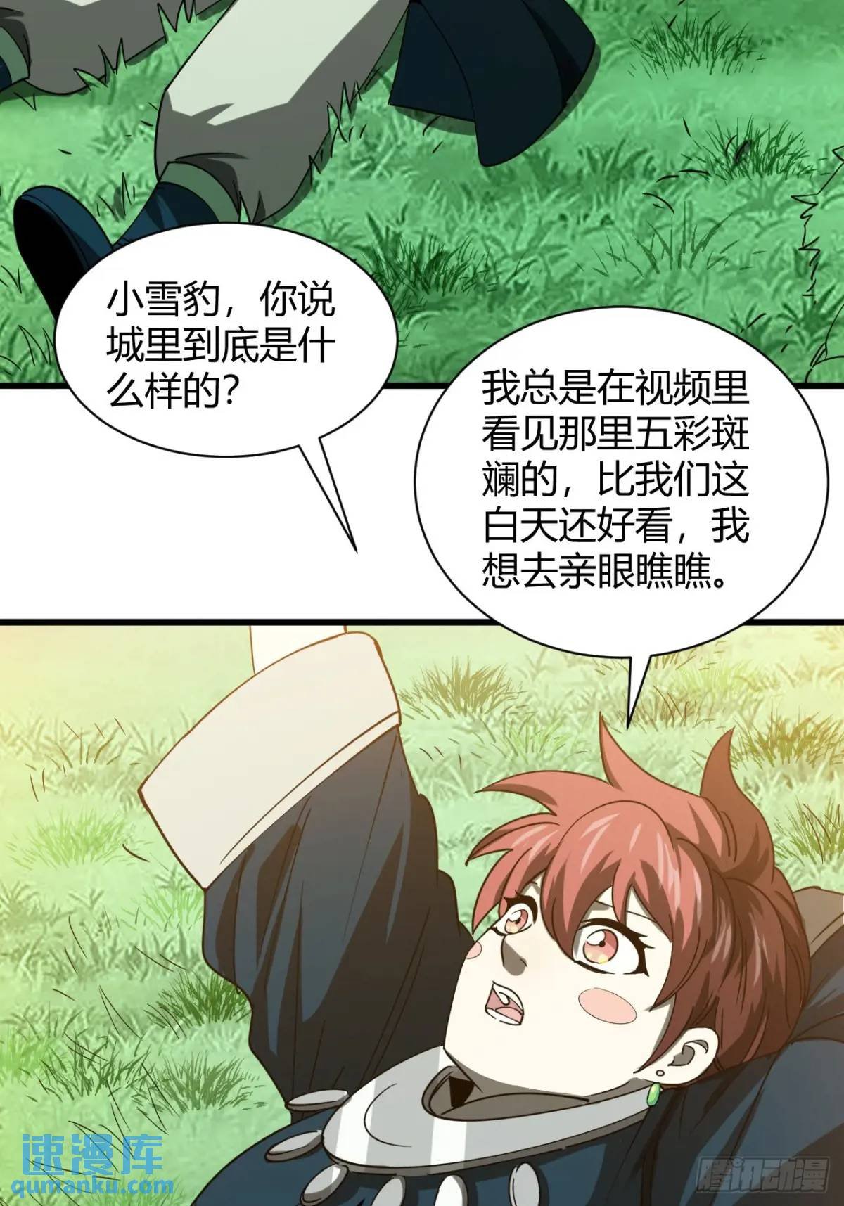 风雪豹的回忆（上）