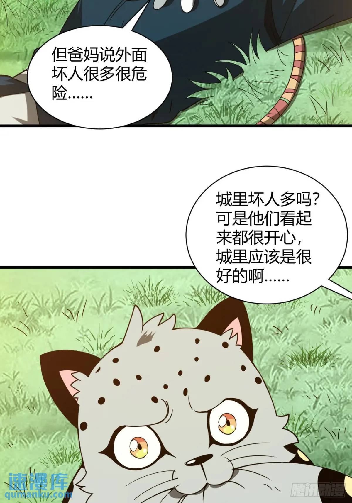 风雪豹的回忆（上）