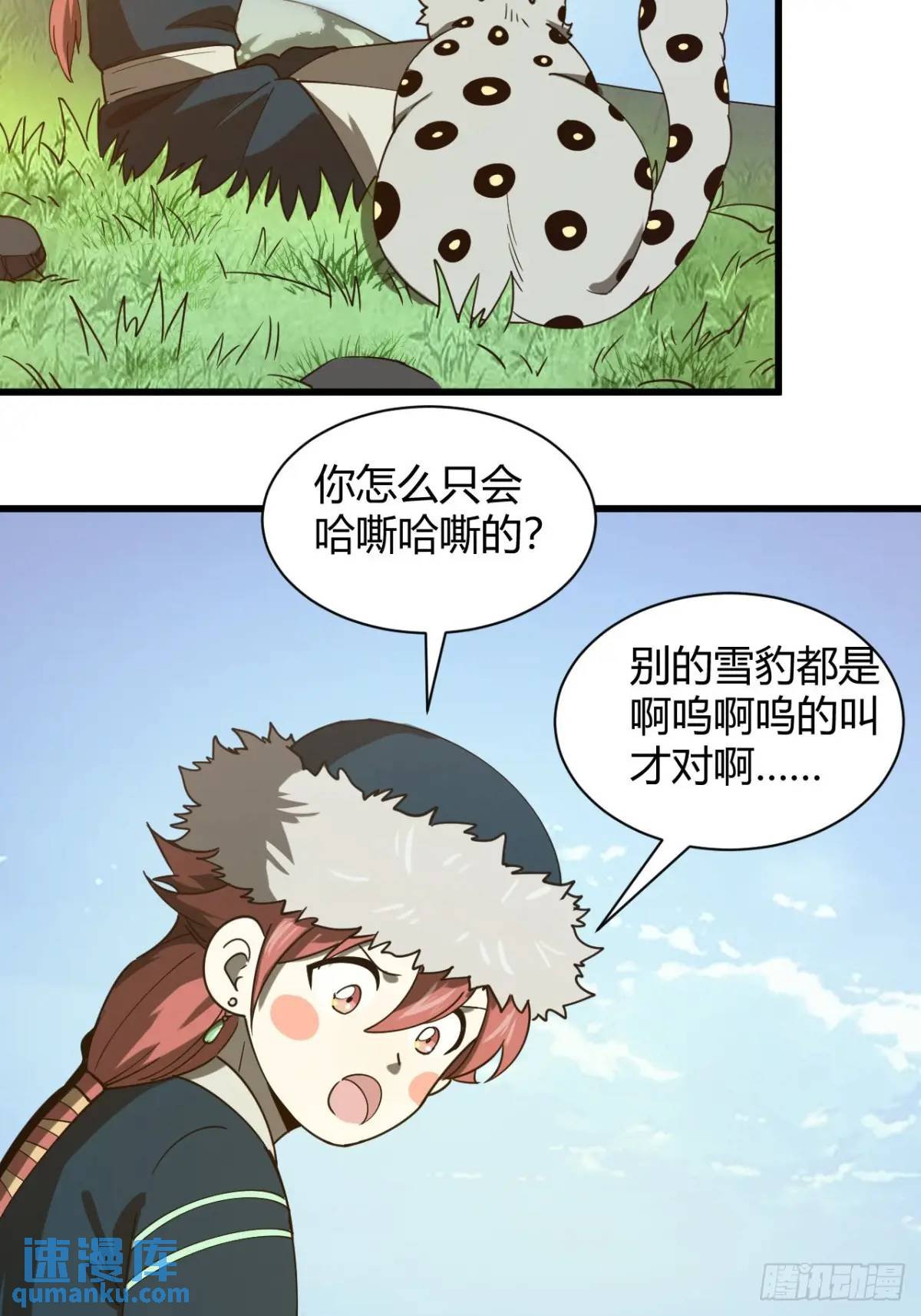 风雪豹的回忆（上）