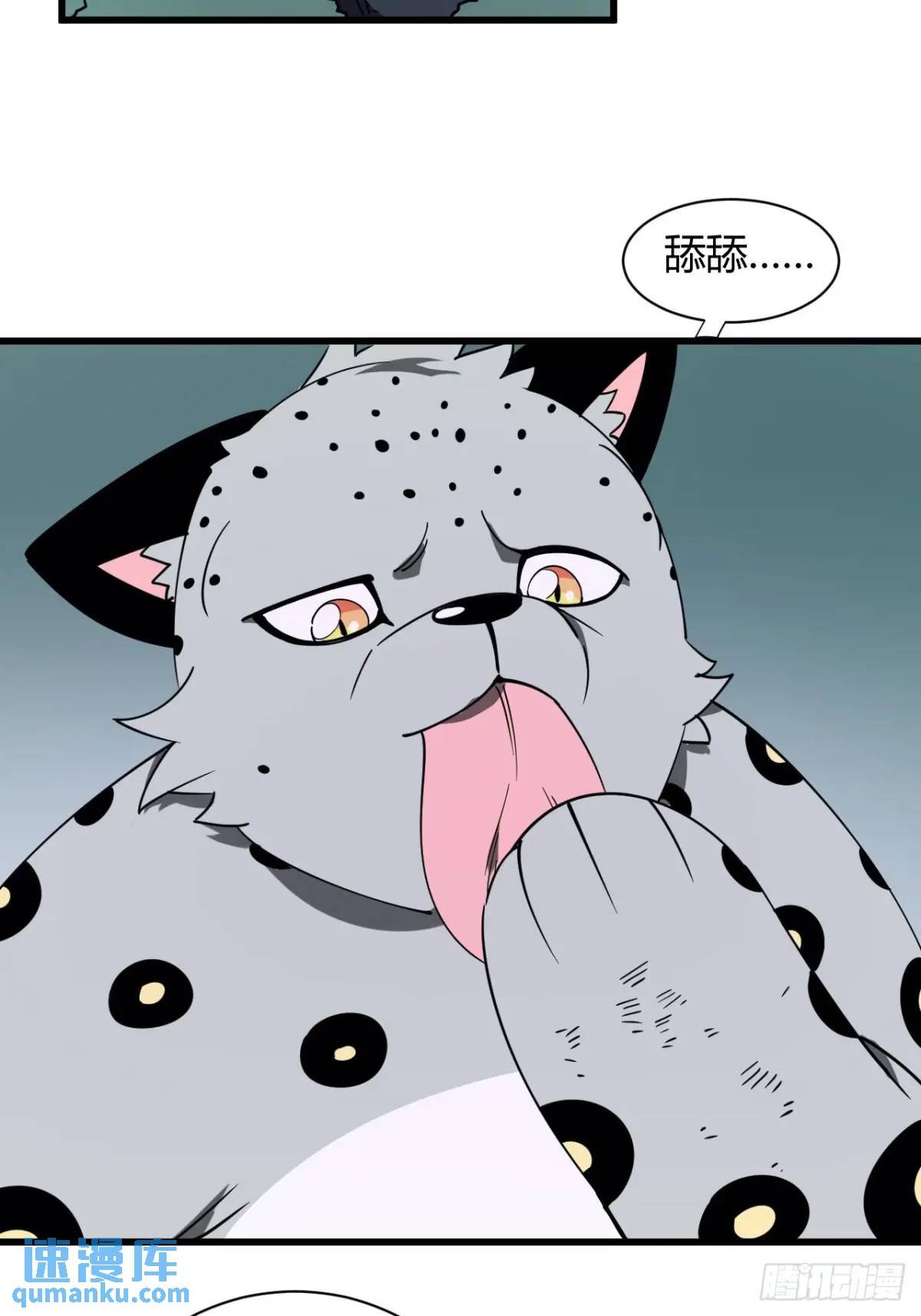 风雪豹的回忆（上）
