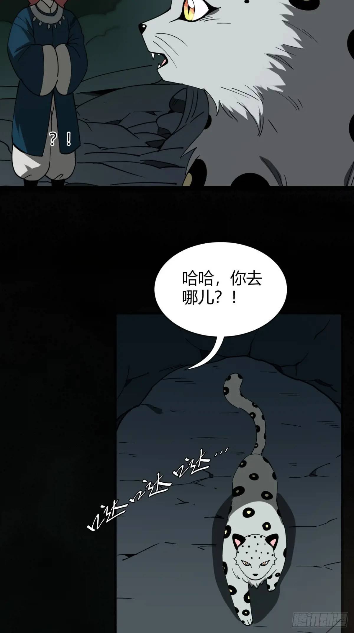 风雪豹的回忆（上）