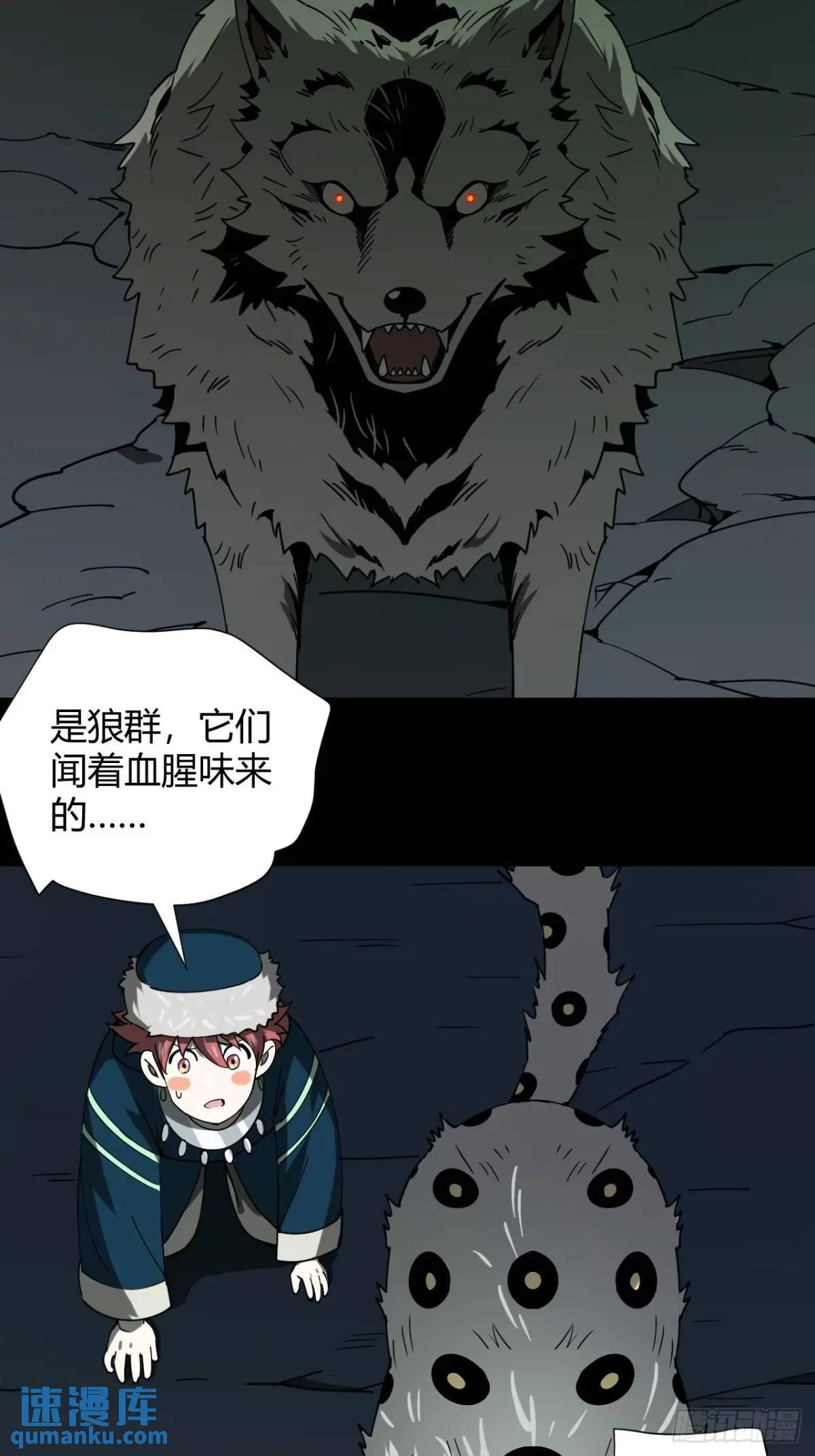 风雪豹的回忆（上）