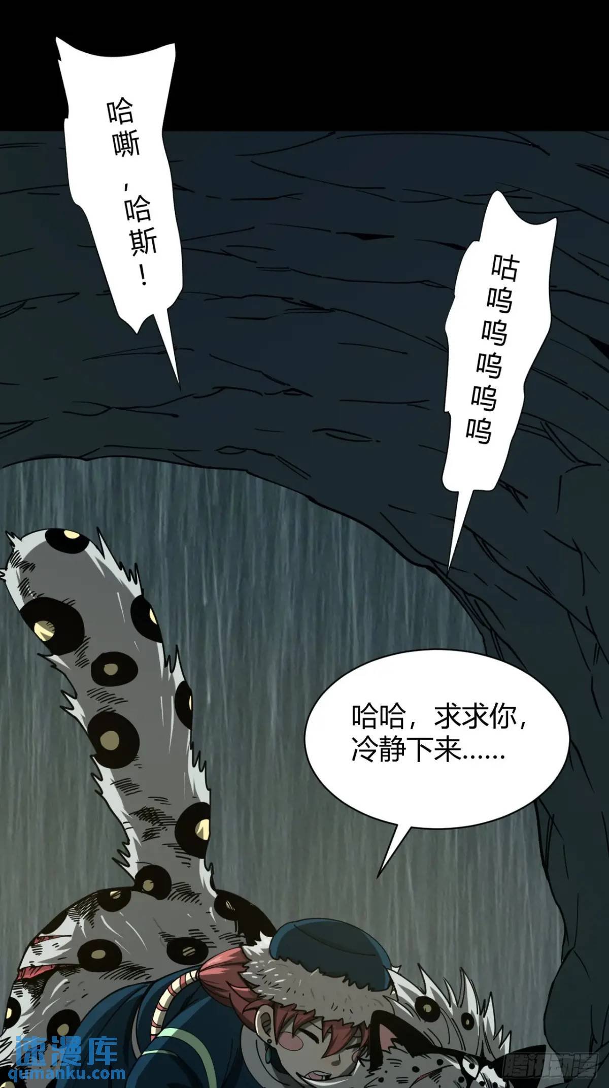 风雪豹的回忆（中）
