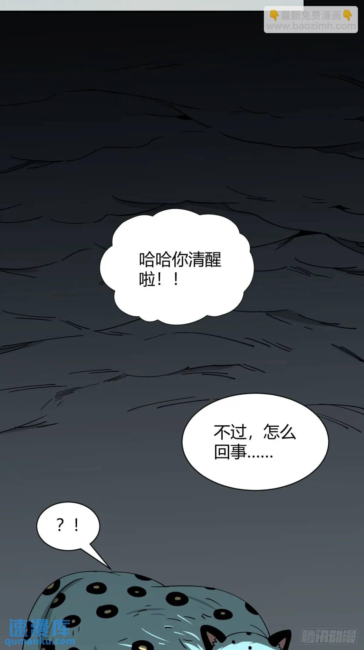 风雪豹的回忆（中）
