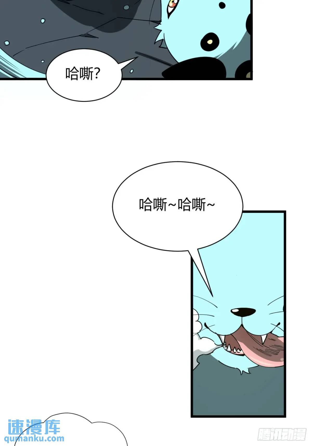 风雪豹的回忆（中）