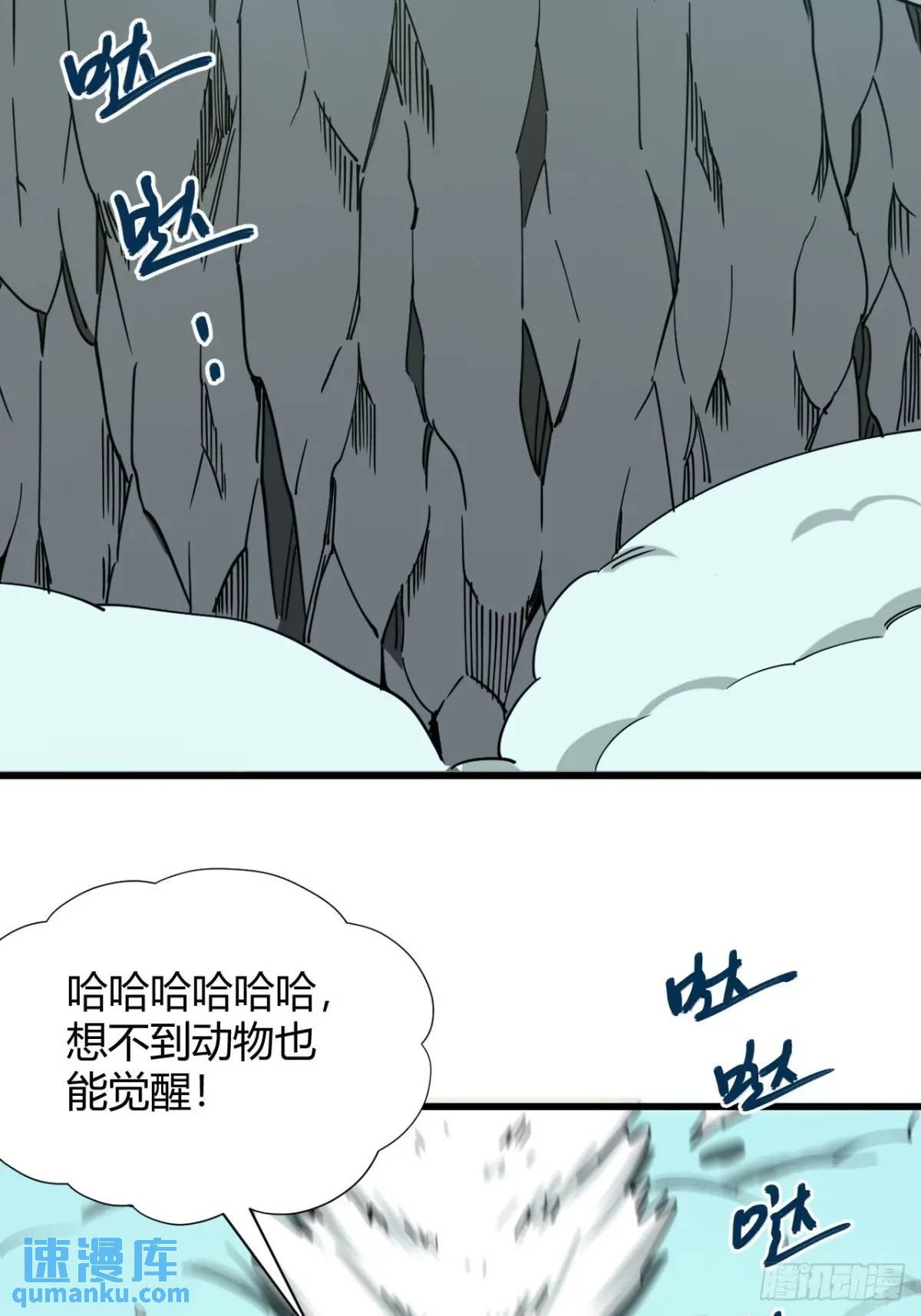 风雪豹的回忆（中）