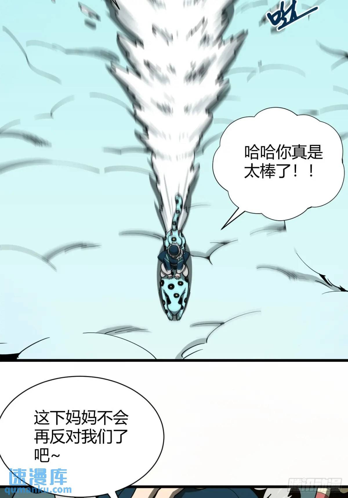风雪豹的回忆（中）