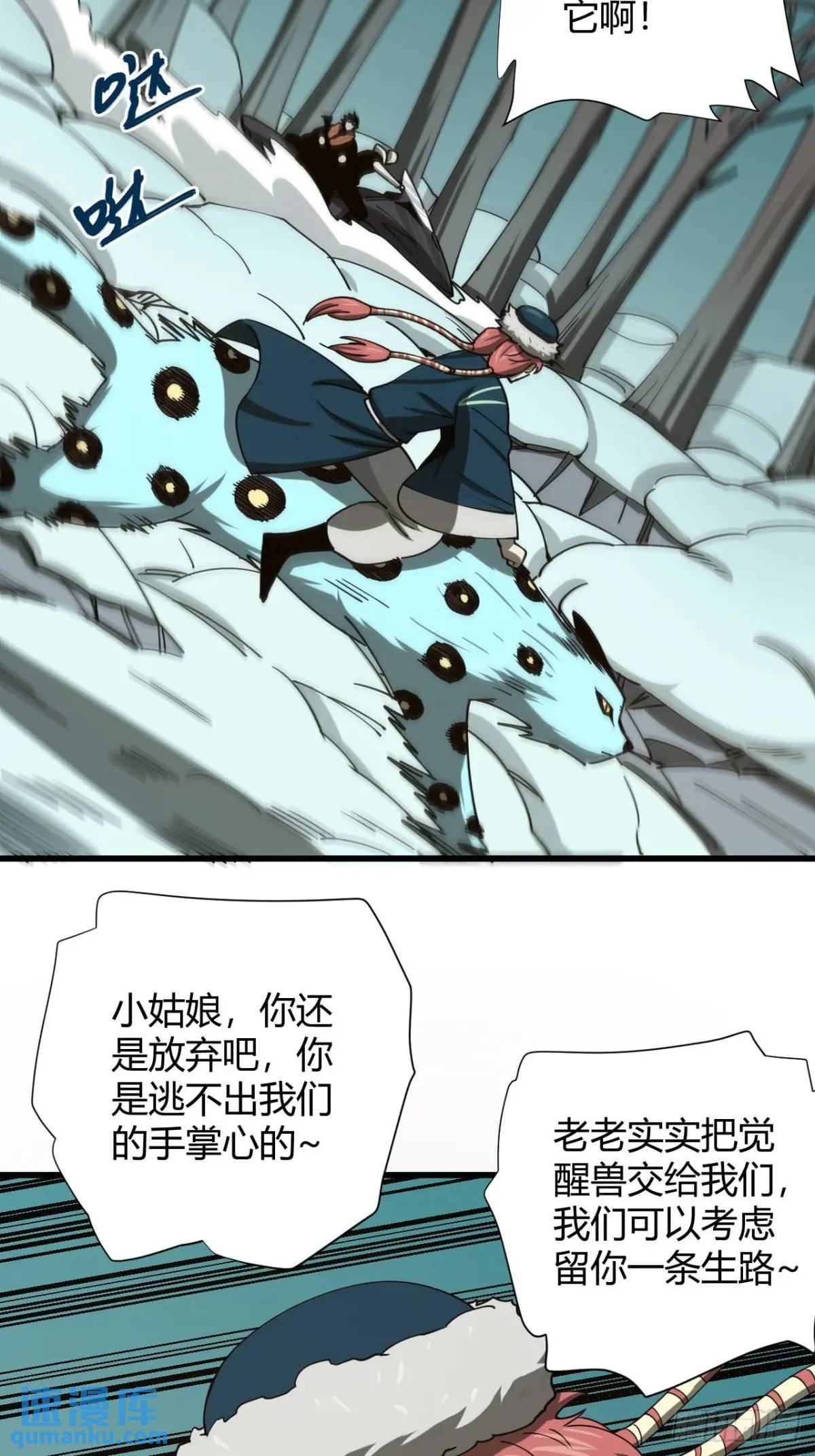 风雪豹的回忆（中）