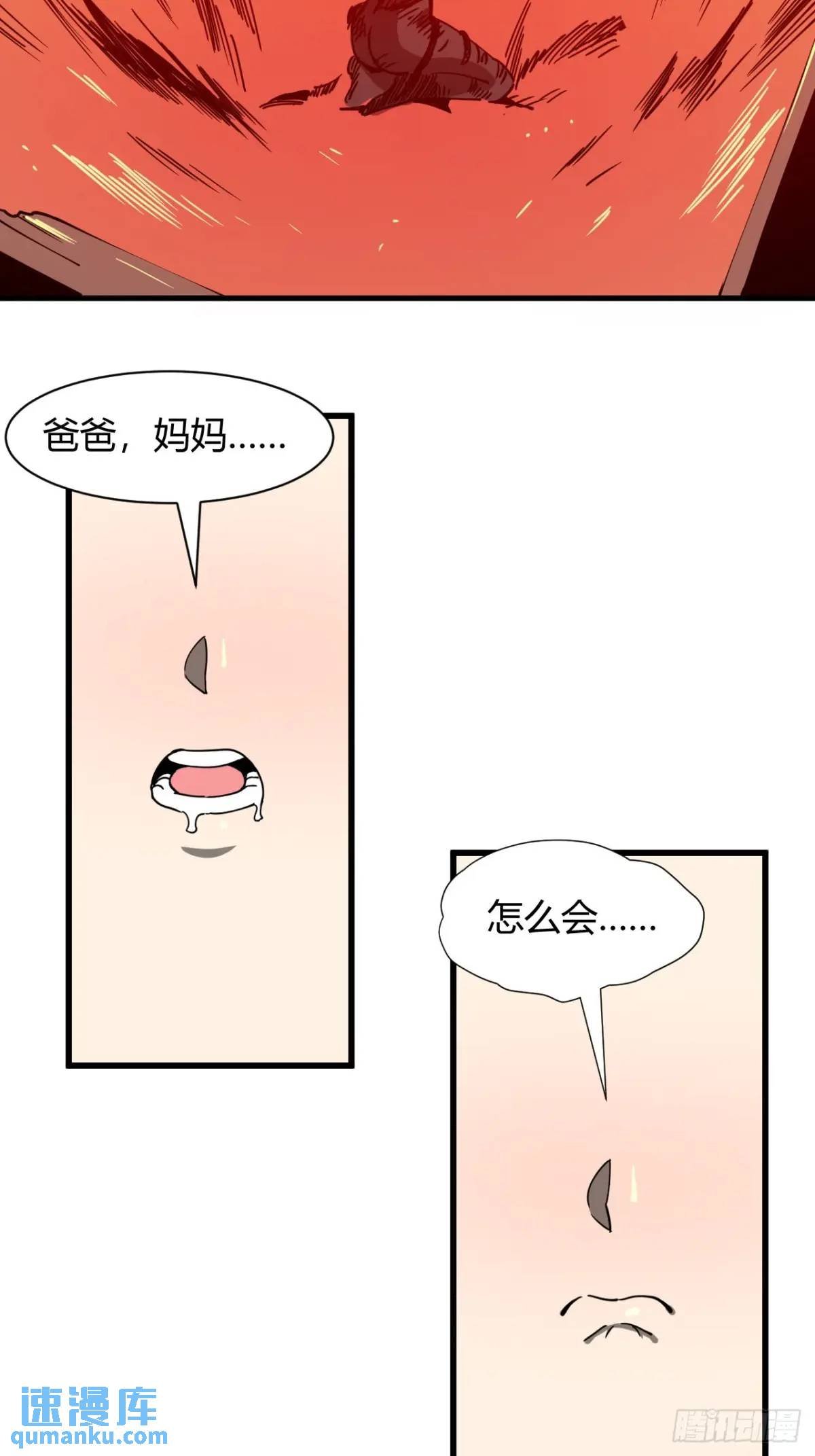 风雪豹的回忆（中）