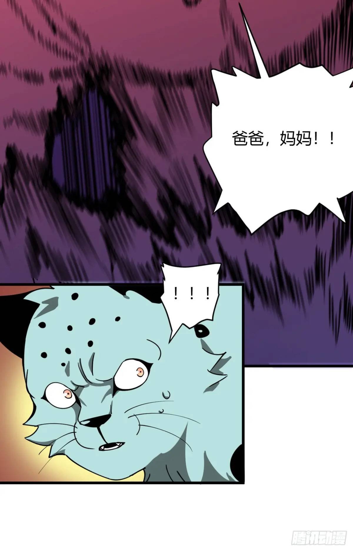 风雪豹的回忆（中）