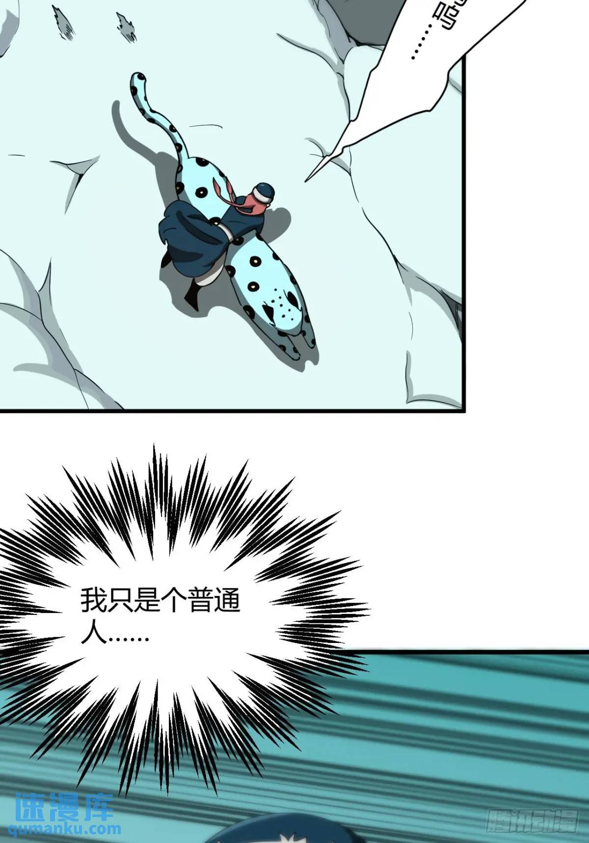 风雪豹的回忆（下）