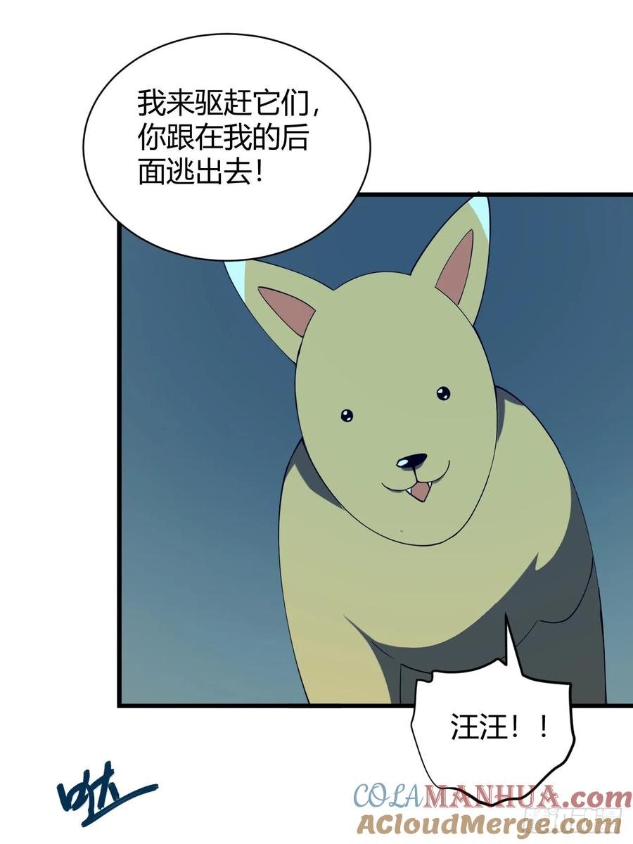 小蕾消失