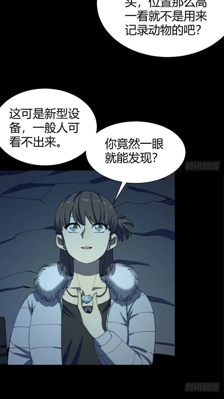 真实目的